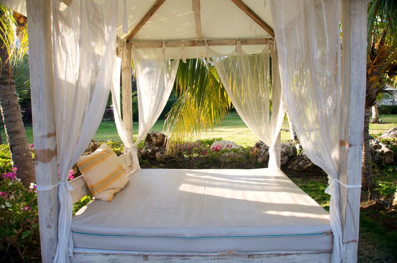 Canopy Service