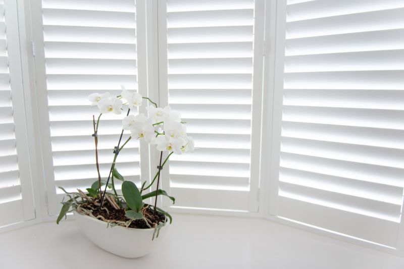 Window Shutters Replacement in Midlothian, VA